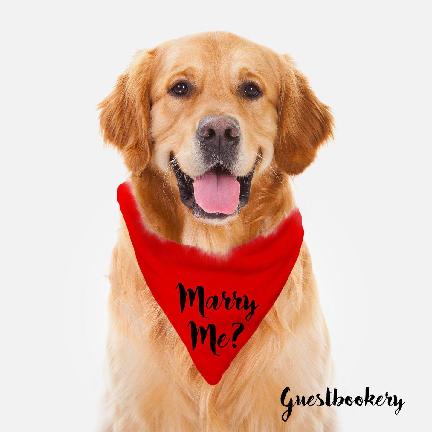 Marry Me Proposal Dog Bandana