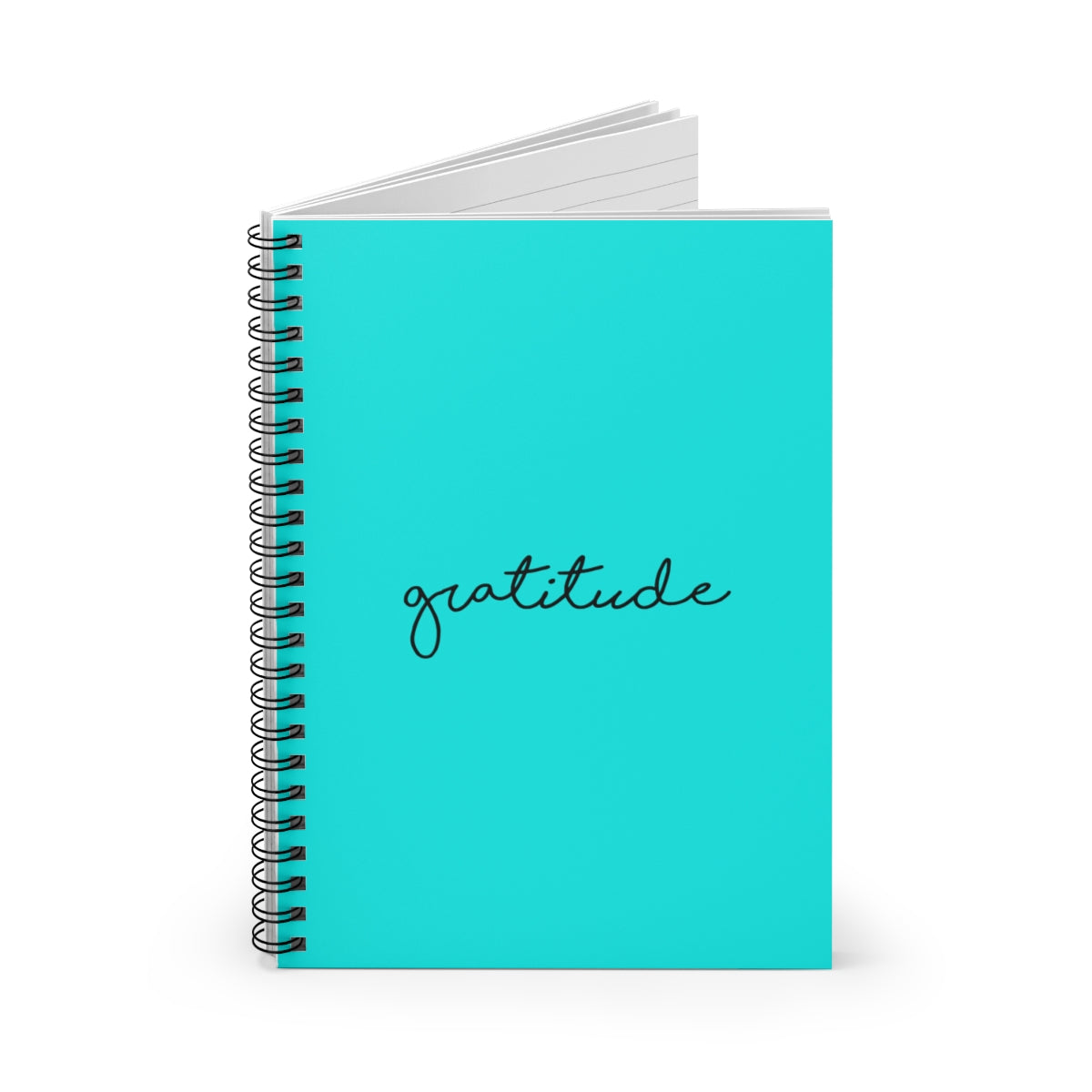 Gratitude Journal Turquoise