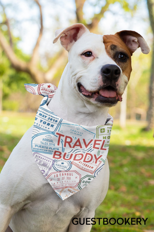 Travel Buddy Bandana