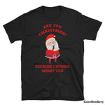 Load image into Gallery viewer, Christmas Pick Up Line T-shirt - Guestbookery
