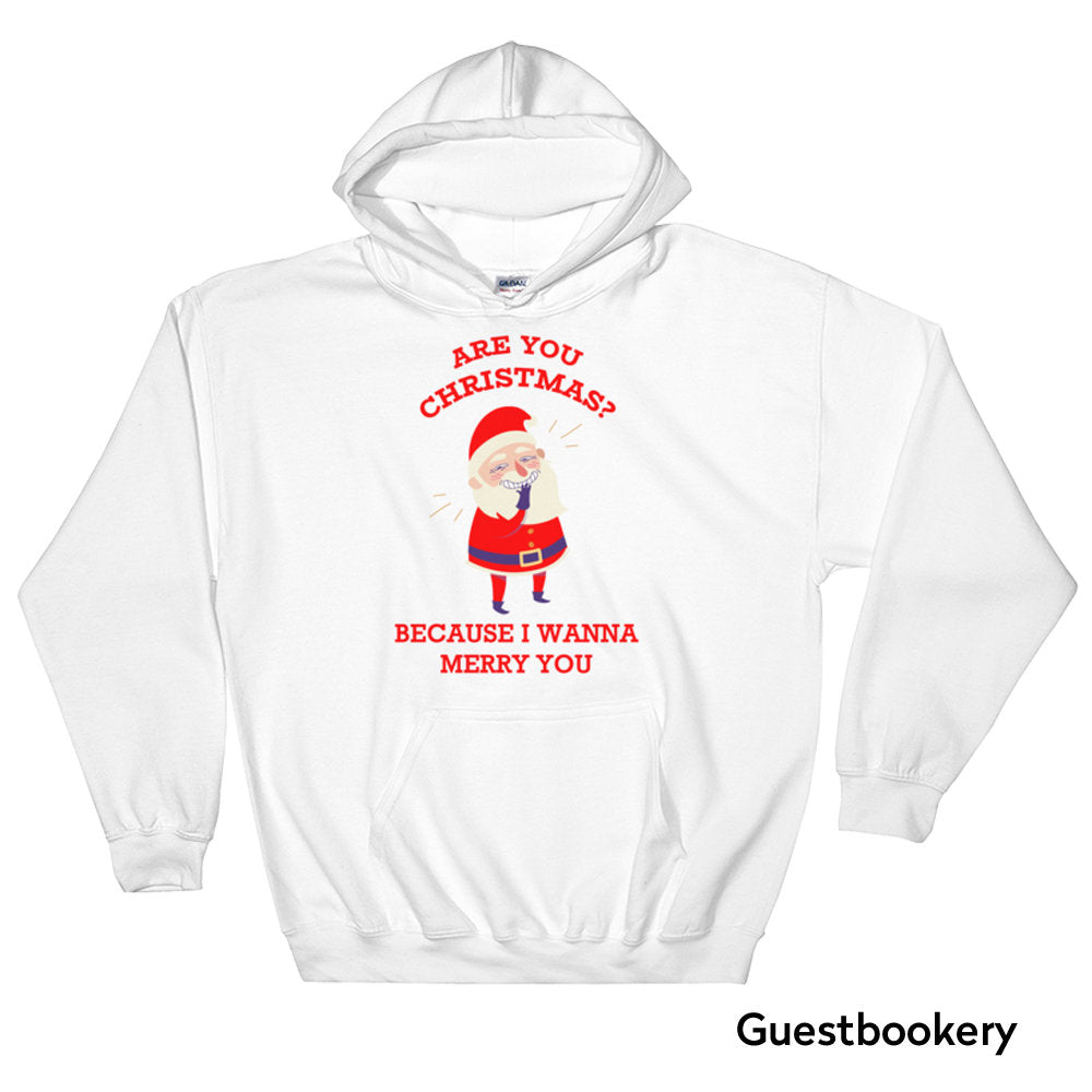 Christmas Pick Up Line Hoodie